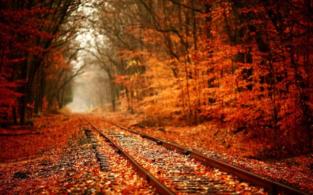 leaves-over-railway-1920x1200-wallpaper-recuerdos-de-otoÃ±o-autumn